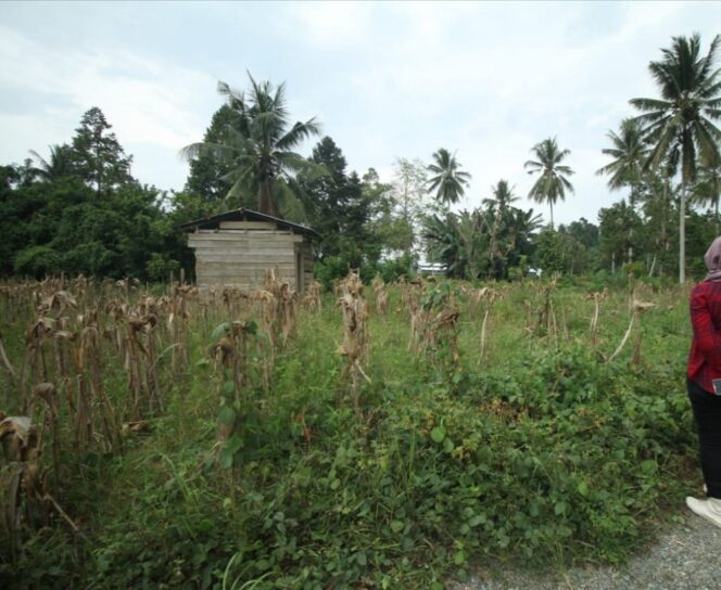 
					Lokasi Proyek Pansimas Desa Sausu Taliabo Kecamatan Sausu, Kabupaten Parigi Moutong.